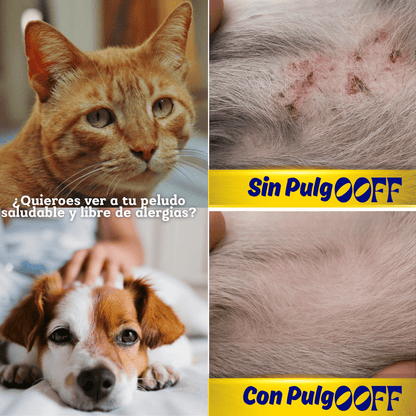 PulgOFFF®: Peine eléctrico que elimina pulgas sin químicos