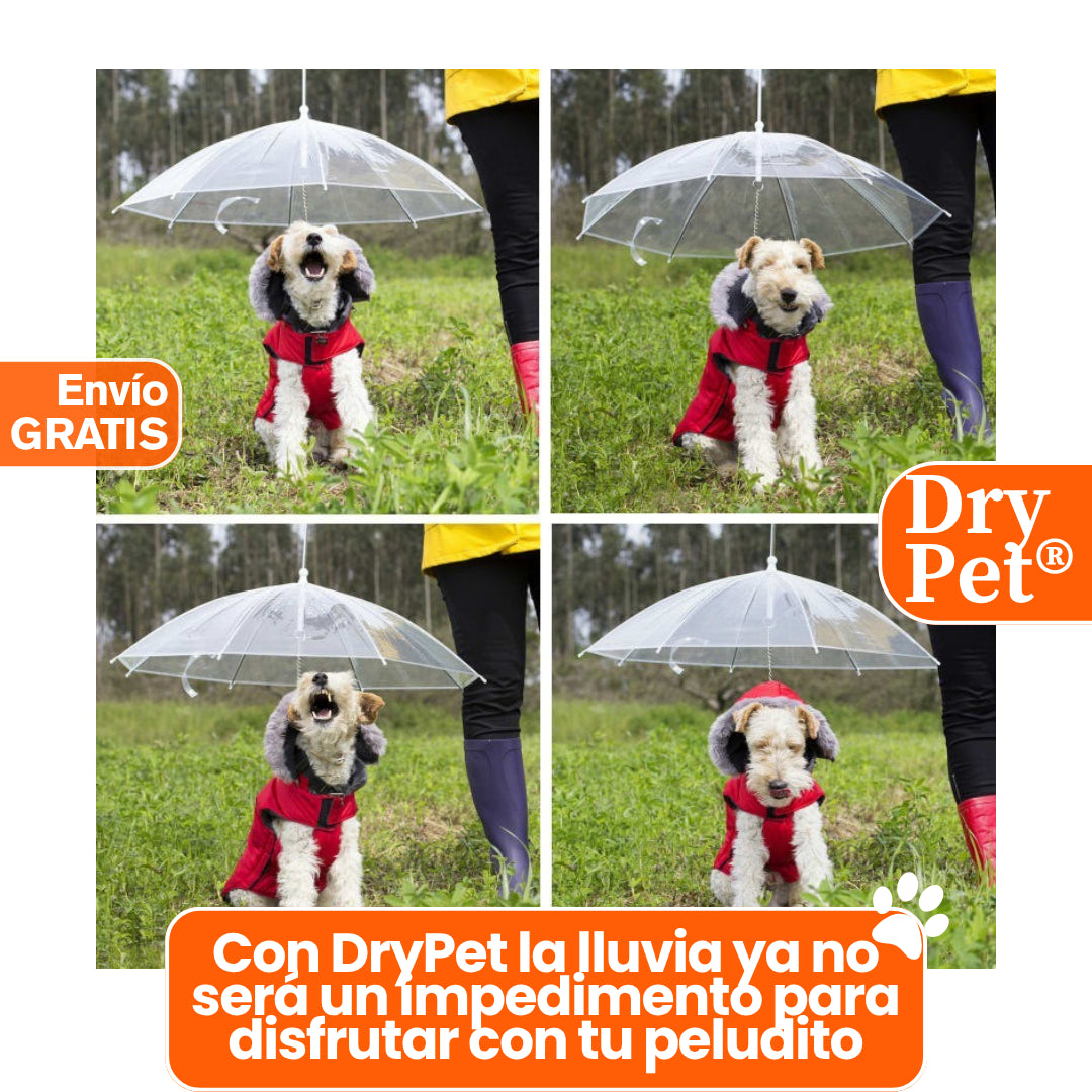DryPet®: La sombrilla ideal para tu peludito