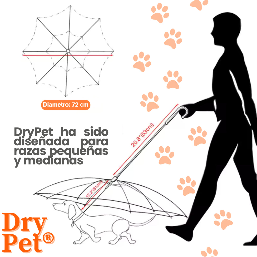DryPet®: La sombrilla ideal para tu peludito