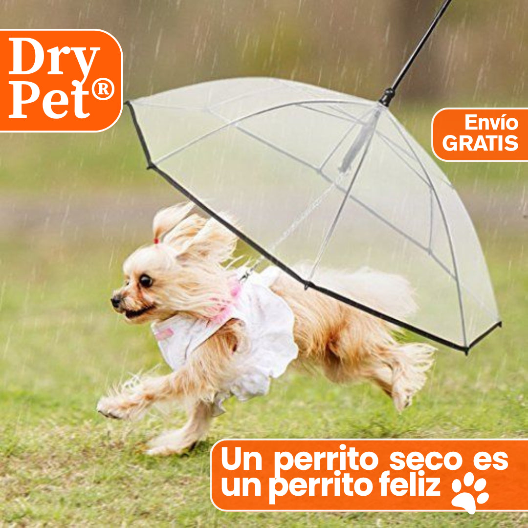 DryPet®: La sombrilla ideal para tu peludito