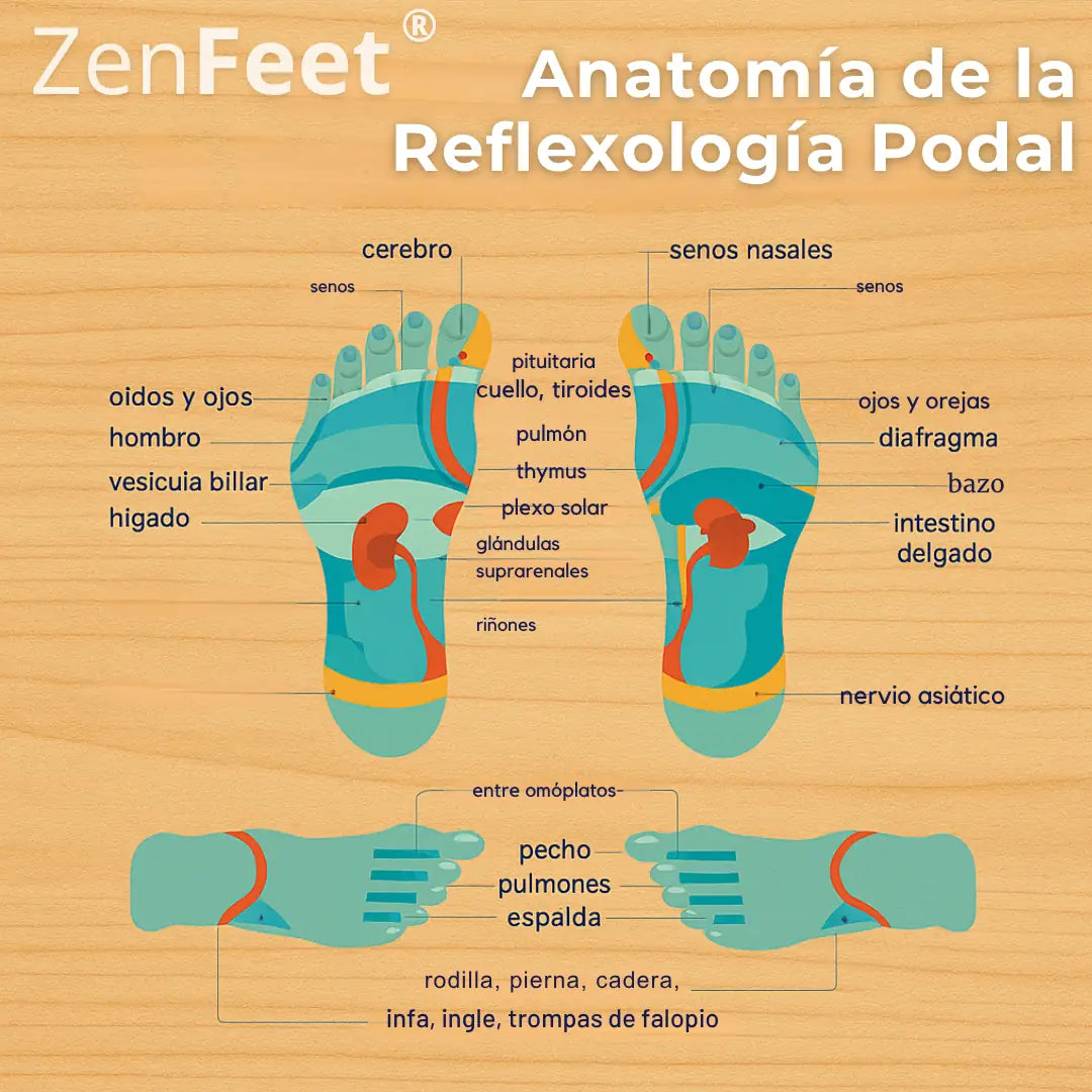 ZenFeet®: Kit interactivo de acupresión para liberar tensión y energía acumulada
