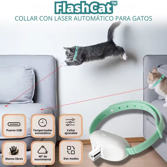 FlashCat™: Diversión al instante para tu gato