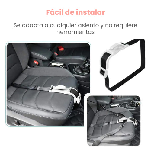 Cinturón de seguridad para embarazadas EasyBelt®