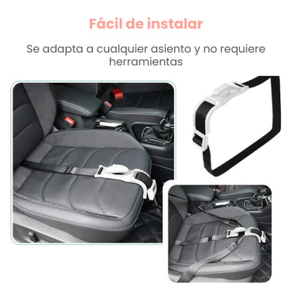 Cinturón de seguridad para embarazadas EasyBelt®