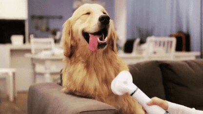 Peine Secador Peludo Pro