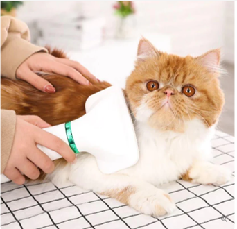 Peine Secador Peludo Pro