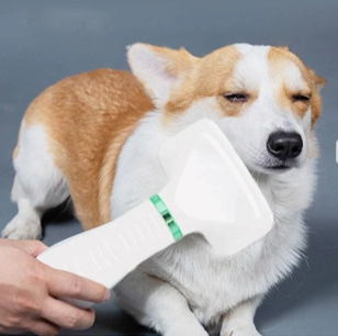 Peine Secador Peludo Pro